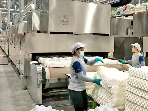 高溫型溫濕度變送器在乳膠烘干過(guò)程的重要作用